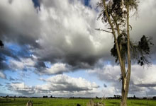 星空体育-Doinb新星回归赛场表现惊艳，独行侠未来可期！的简单介绍